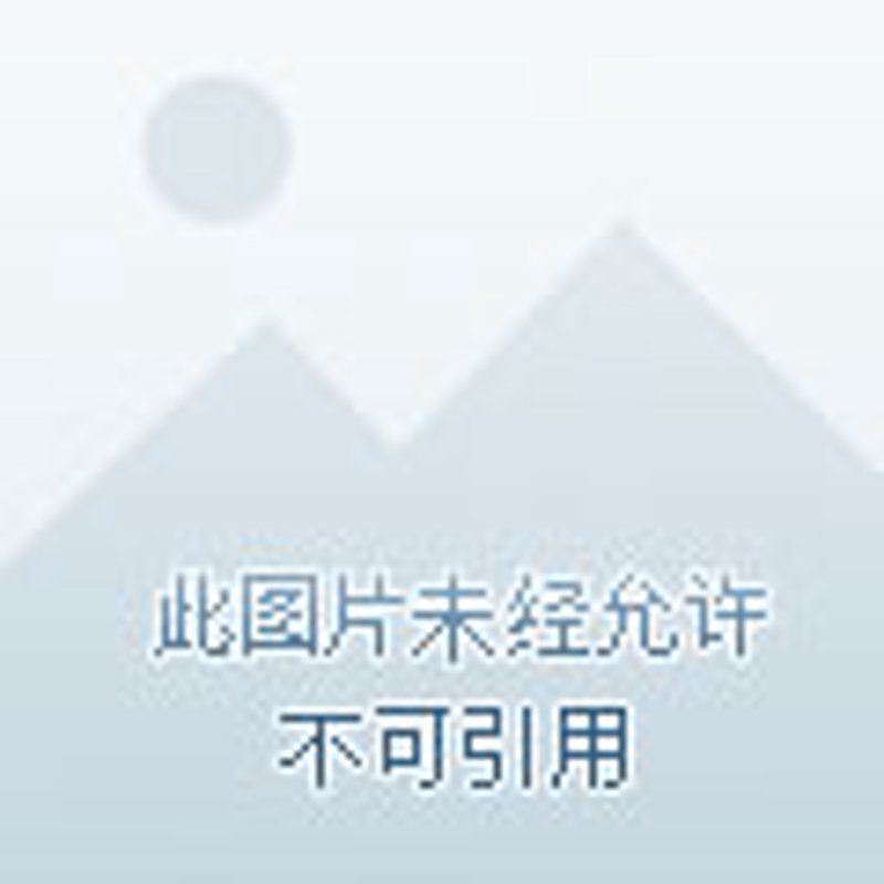 物业资产维护服务